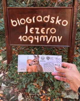Отдых в Черногории самостоятельно. Всё, что нужно знать в первый раз Отдых в Черногории самостоятельно. Всё, что нужно знать в первый раз