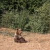 Трансфагараш в Румынии — самая опасная дорога Европы. Отзыв о самостоятельной поездке Трансфагараш в Румынии — самая опасная дорога Европы. Отзыв о самостоятельной поездке