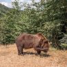 Трансфагараш в Румынии — самая опасная дорога Европы. Отзыв о самостоятельной поездке Трансфагараш в Румынии — самая опасная дорога Европы. Отзыв о самостоятельной поездке