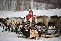 Россиянка описала жизнь в селе на Чукотке фразой &laquo;продукты завозят раз в год&raquo;