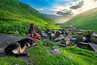 Россиянин описал курорт Грузии фразой &laquo;набережная &mdash; как в Майами&raquo;